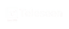 Teleseen